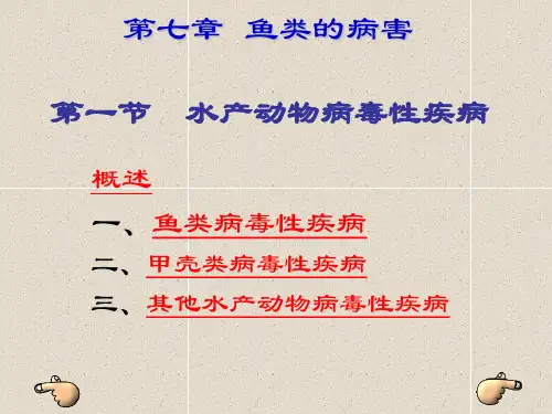 水产动物病毒性疾病