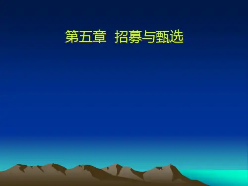 第五章公共部门人力资源获取.pptx