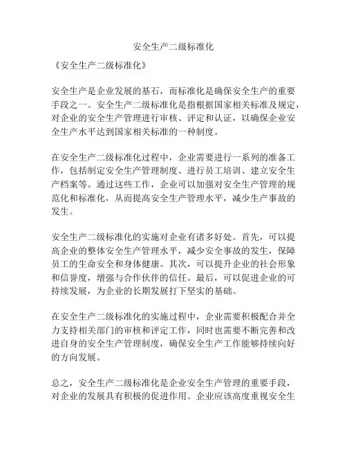 安全生产二级标准化