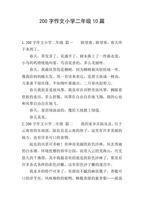 200字作文小学二年级10篇