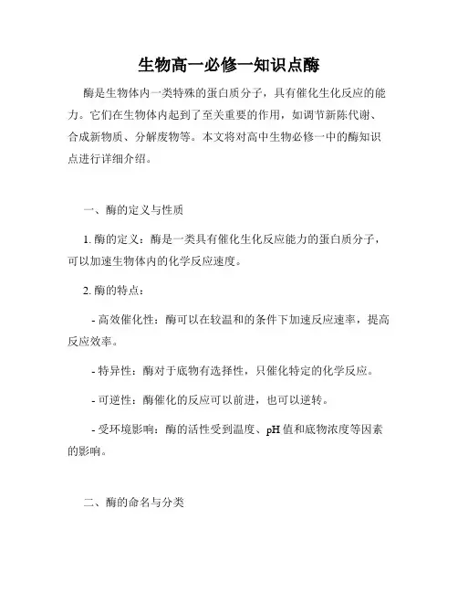 生物高一必修一知识点酶