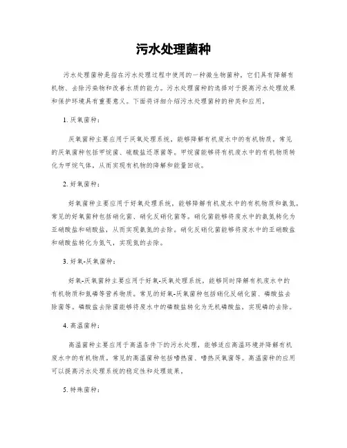 污水处理菌种
