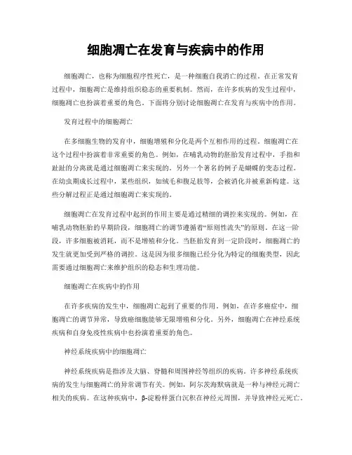 细胞凋亡在发育与疾病中的作用