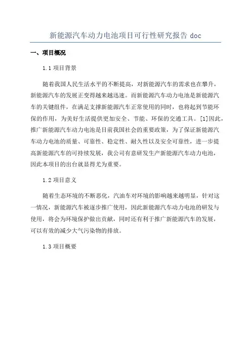 新能源汽车动力电池项目可行性研究报告doc