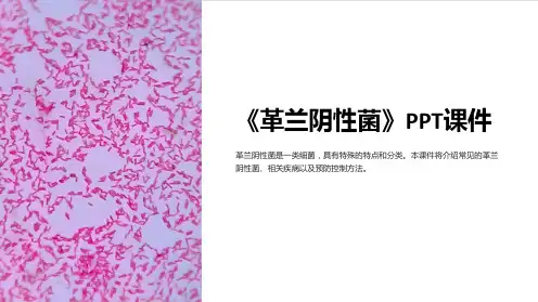 《革兰阴性菌》课件