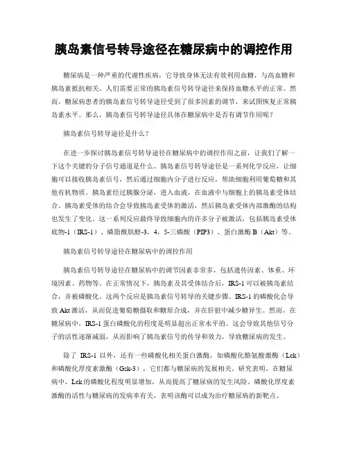 胰岛素信号转导途径在糖尿病中的调控作用