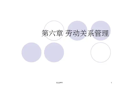 《人力资源第六章》PPT课件