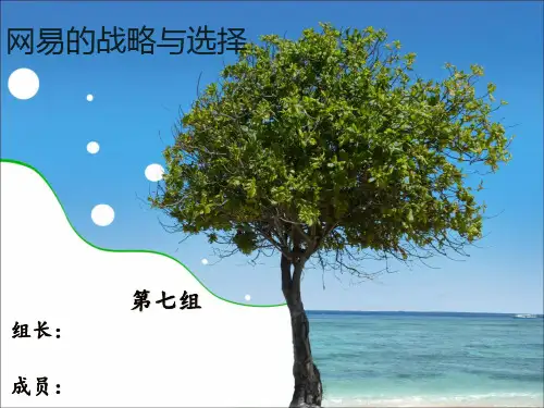 网易的战略与选择