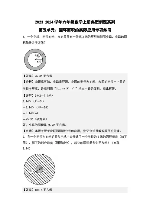 第五单元圆环面积的实际应用专项练习(解析版)人教版