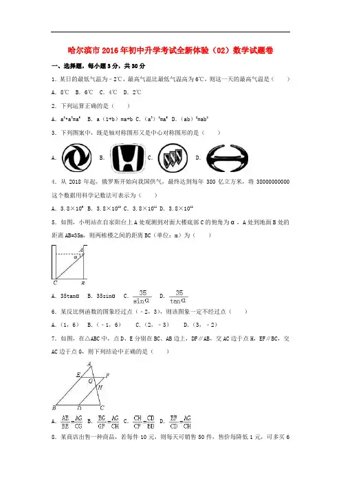黑龙江省哈尔滨市中考数学升学考试全新体验试题(02)(含解析)