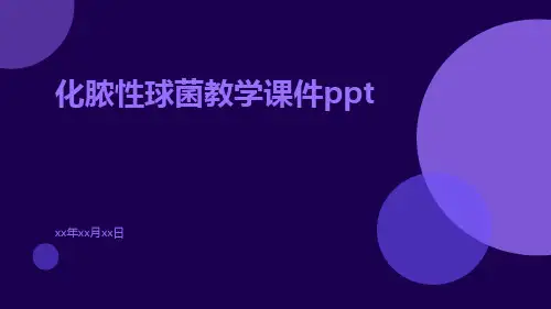 化脓性球菌教学课件ppt