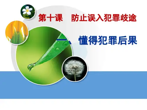 职业道德与法律第十课避免误入犯罪歧途