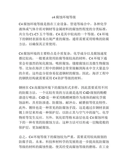 c4腐蚀环境等级