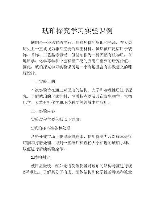 琥珀探究学习实验课例