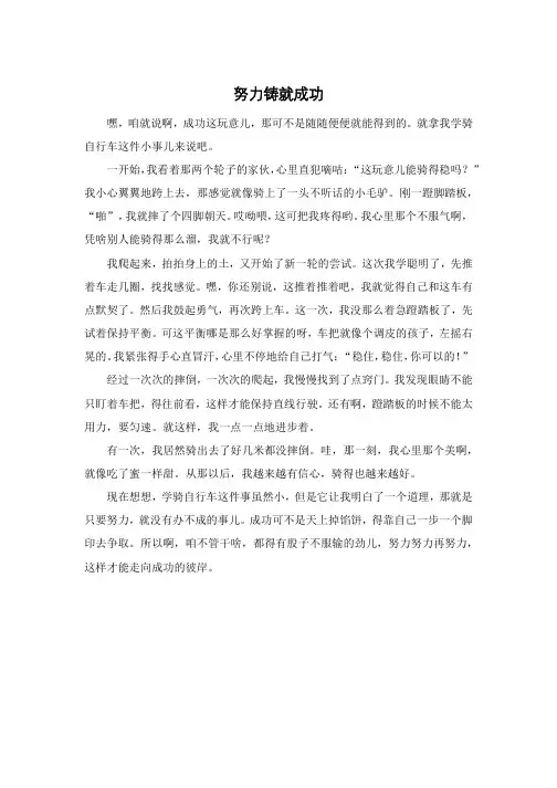努力铸就成功