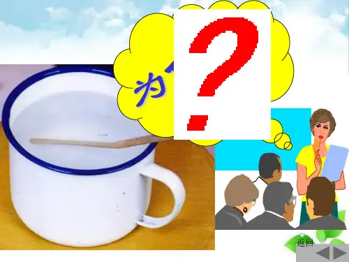 光的折射与透镜ppt课件
