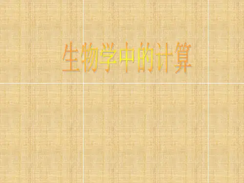 高中生物生物中的计算课件