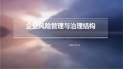 企业风险管理与治理结构