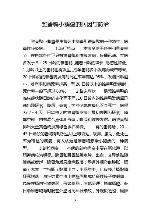 雏番鸭小鹅瘟的病因与防治