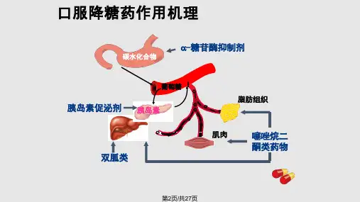 降糖药小讲课.pptx