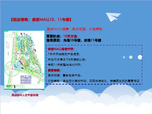 推荐-3AXXXX年鲁能·三亚湾淡季营销方案培训稿下 精品