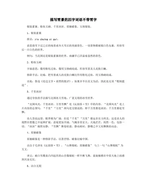 描写雪景的四字词语不带雪字