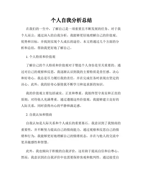 个人自我分析总结