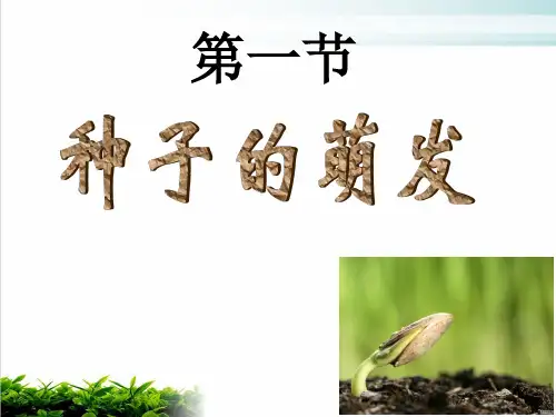 人教版七年级上册生物课件种子的萌发PPT完整版