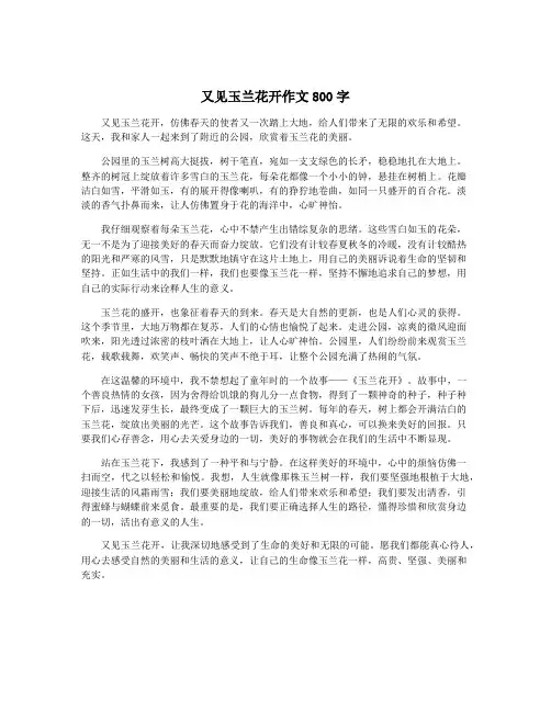 又见玉兰花开作文800字