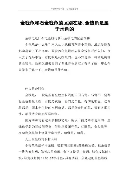 金钱龟和石金钱龟的区别在哪,金钱龟是属于水龟的