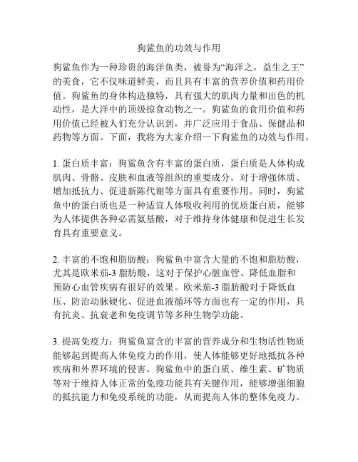 狗鲨鱼的功效与作用