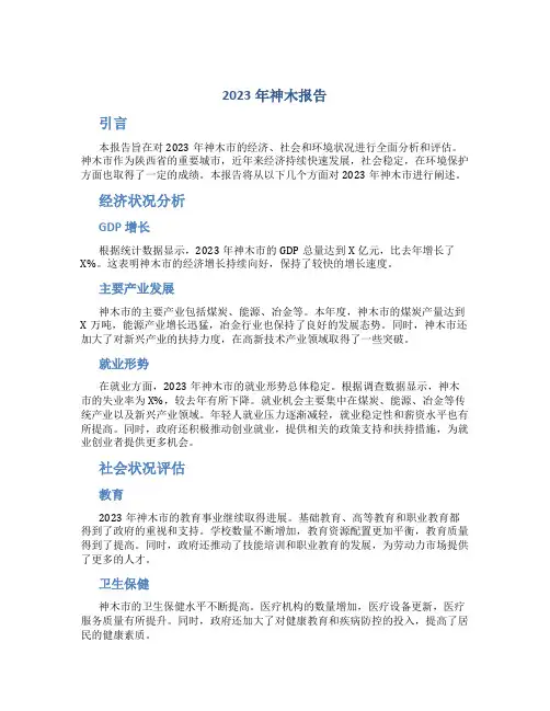 2023年神木报告