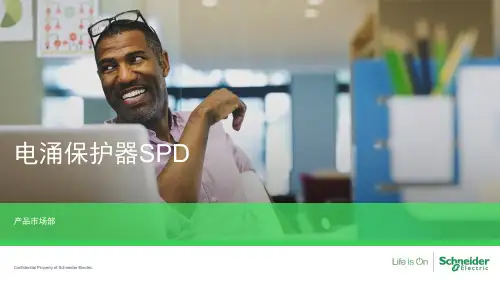 电涌保护器SPD PPT