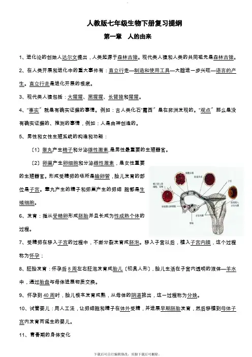 人教版生物七年级下册 第四单元 复习提纲