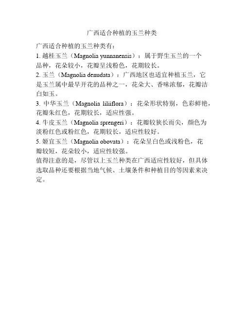 广西适合种植的玉兰种类