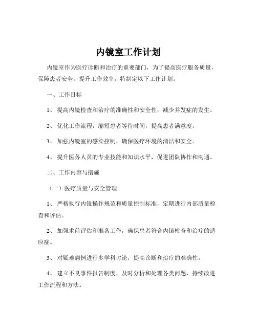 内镜室工作计划
