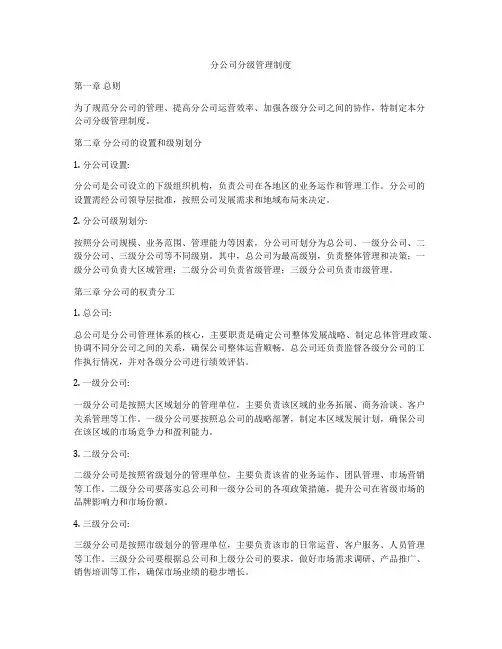 分公司分级管理制度