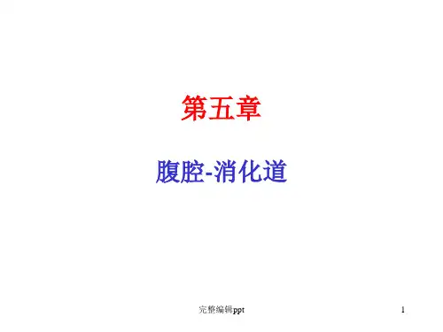 各种常见猪病解剖一 (4)