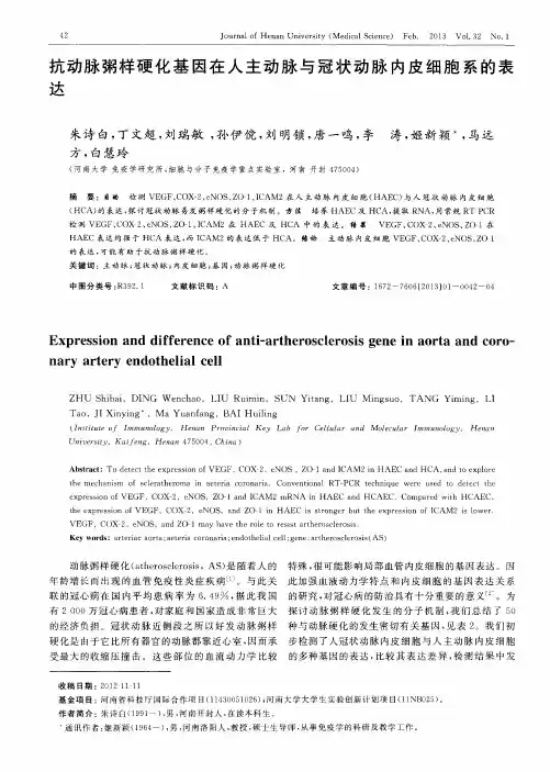 抗动脉粥样硬化基因在人主动脉与冠状动脉内皮细胞系的表达