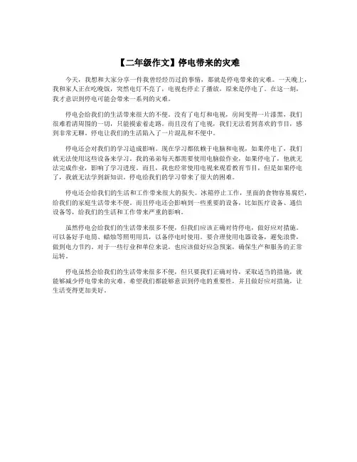 【二年级作文】停电带来的灾难