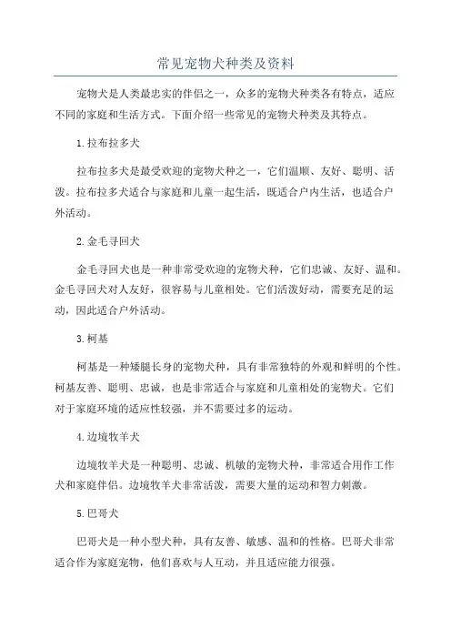 常见宠物犬种类及资料