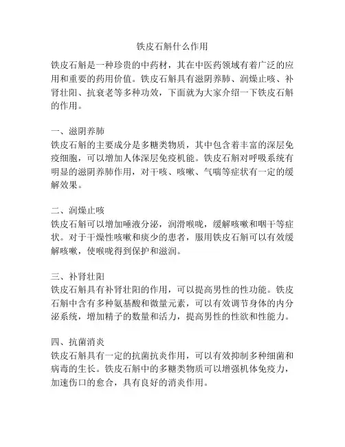 铁皮石斛什么作用