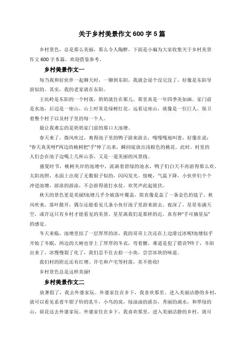关于乡村美景作文600字5篇