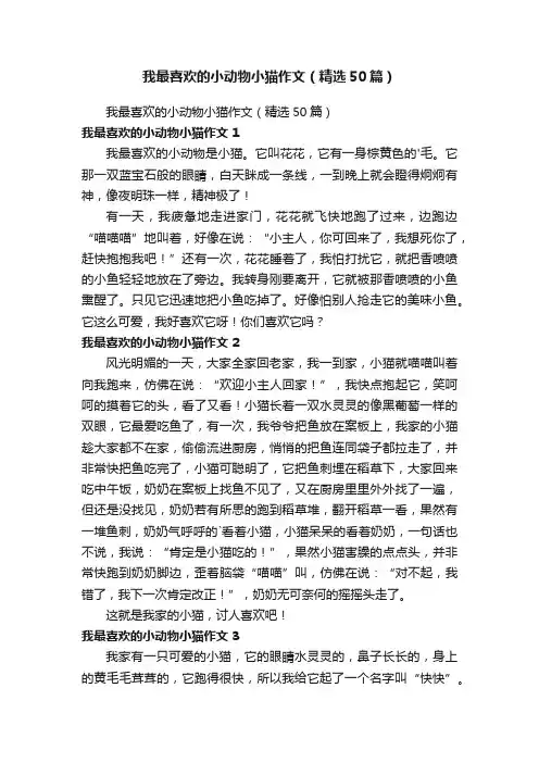 我最喜欢的小动物小猫作文（精选50篇）