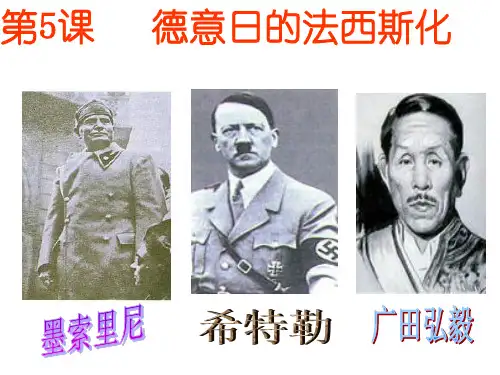 德意日法西斯化