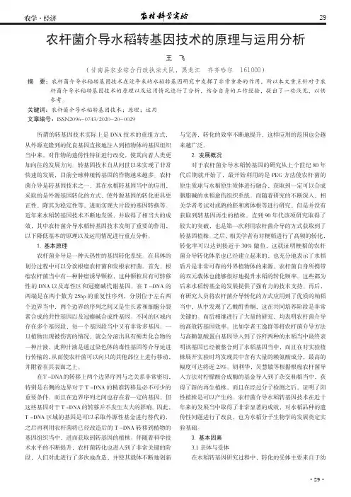 农杆菌介导水稻转基因技术的原理与运用分析