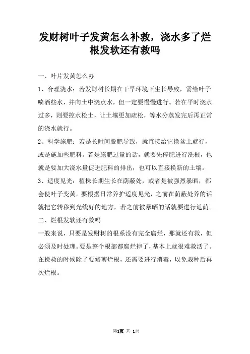 发财树叶子发黄怎么补救，浇水多了烂根发软还有救吗 