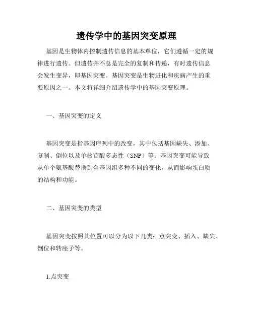 遗传学中的基因突变原理