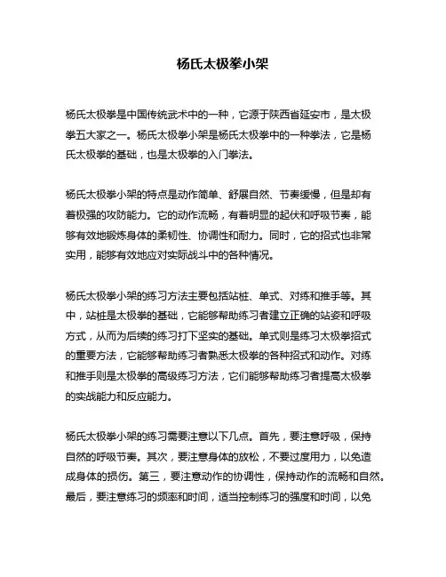 杨氏太极拳小架