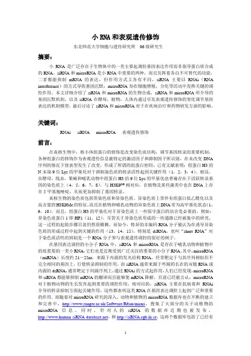 小RNA和表观遗传修饰